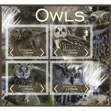 Fauna Owls